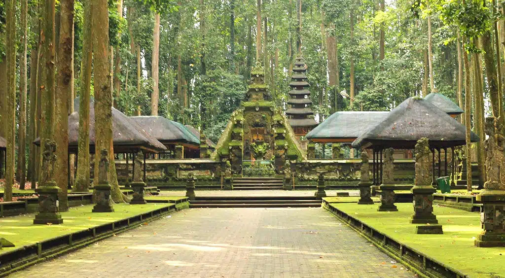 Monkey Forest Sangeh
